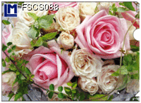 FSCS088: ROSES ( FLOWERS )