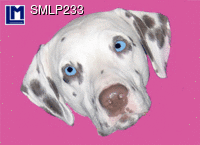 SMLP233: DALMATIAN DOG ( ANIMALS )