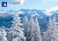 CS260: LANDSCAPE IN WINTER
