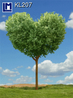 KL207: TREE HEART  