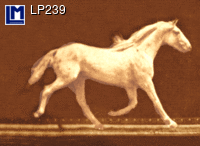 LP239: MUYBRIDGE, RUNNING HORSE ( ART  / ANIMALS )