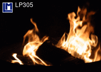 LP305: FIRE