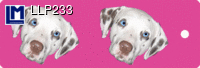 LLP233: DALMATIAN DOG ( ANIMALS )