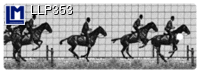 LLP353: MUYBRIDGE, HORSE RIDER ( ART / ANIMALS )