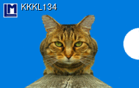 KKKL134: CATS FACE ( ANIMALS )