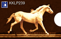 KKLP239: MUYBRIDGE, RUNNING HORSE ( ART / ANIMALS  )