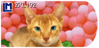 ZKL192: CAT ( ANIMALS )