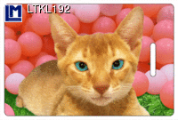LTKL192: LUGGAGE TAG, CAT ( ANIMALS )