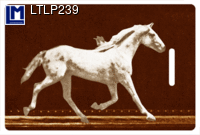 LTLP239: LUGGAGE TAG,MUYBRIDGE, HORSE ( ART / ANIMALS  )