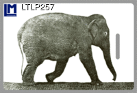 LTLP257: LUGGAGE TAG, MUYBRIDGE, ELEPHANT ( ART / ANIMALS  )