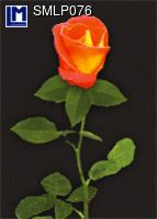 SMLP076: ROSE ( FLOWERS )