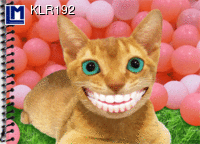KLR192: CAT ( ANIMALS )