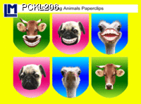 PCKL206: SMILING ANIMALS  ( ANIMALS )       DOG COW  OSTRICH