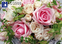 CS088: ROSES ( FLOWERS )