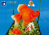 CS156: GOLDFISH ( ANIMALS )
