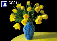 CS211: TULIPS ( FLOWERS )