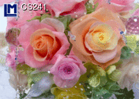 CS241: ROSES ( FLOWERS )