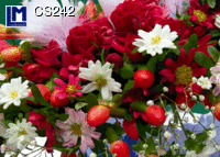 CS242: FLOWERS