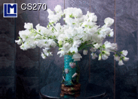 CS270: VETCHES ( FLOWERS )