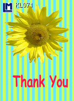 KL071: THANK YOU SUNFLOWER ( FLOWERS )