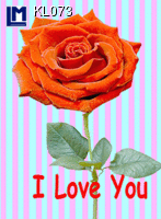 KL073: I LOVE YOU  - ROSE ( BLUMEN )