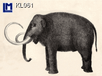 KL061: MAMMOTH ( ANIMALS ) ANATOMICAL