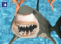KL106: SHARK AND SWIMMING PEOPLE ( ANIMALS )