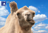 KL111: CAMEL ( ANIMALS )