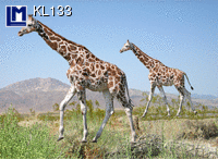 KL133: GIRAFFE ( ANIMALS )