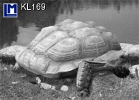 KL169: ACROPOLIS TURNS TO A TURTLE ( ANIMALS )
