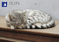 KL178: SLEEPING CAT ( ANIMALS )