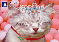 KL216: KATZE HAPPY BIRTHDAY ( TIERE)