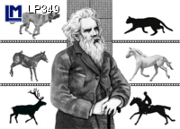 LP349: MUYBRIDGE, ANIMALS ( ART / ANIMALS ) DOG CAT HORSE