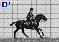 LP353: MUYBRIDGE, HORSE RIDER ( ART )