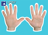 LP357: HAND REFLEXZONES  {ANATOMICAL}