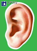 LP372: EAR REFLEX ZONES  {ANATOMICAL}