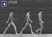 LP428: MUYBRIDGE, YOUNG MEN WALKING ( ART )