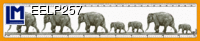 EELP257: MUYBRIDGE, ELEPHANTS ( ART / ANIMALS  )