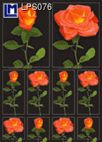 LPS076: ROSE ( FLOWERS )